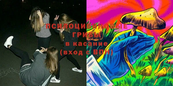 мяу мяу мука Лабытнанги