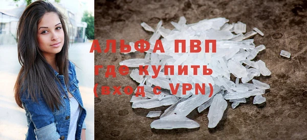 PSILOCYBIN Покачи