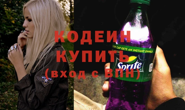 apvp Кукмор